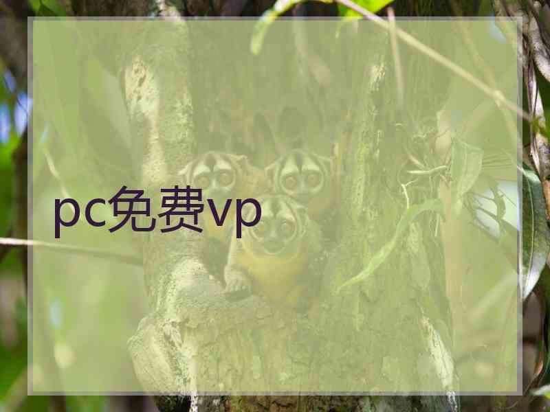 pc免费vp