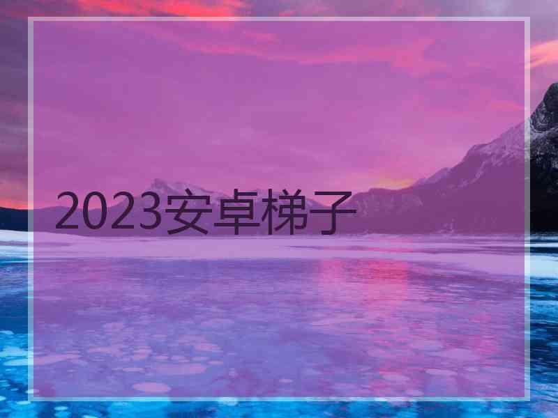 2023安卓梯子