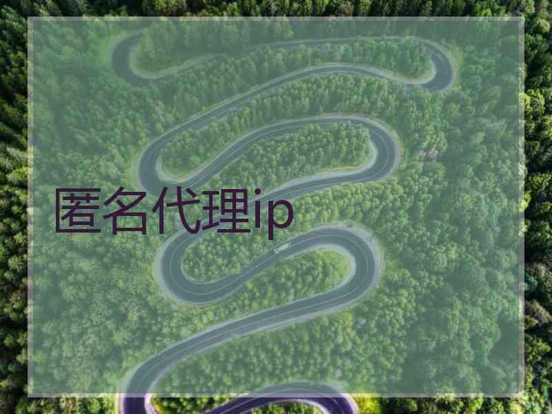 匿名代理ip