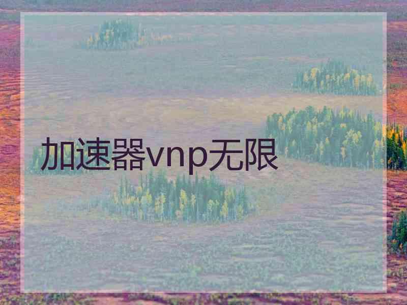 加速器vnp无限