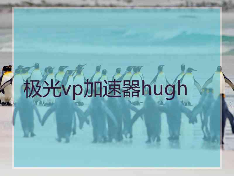 极光vp加速器hugh