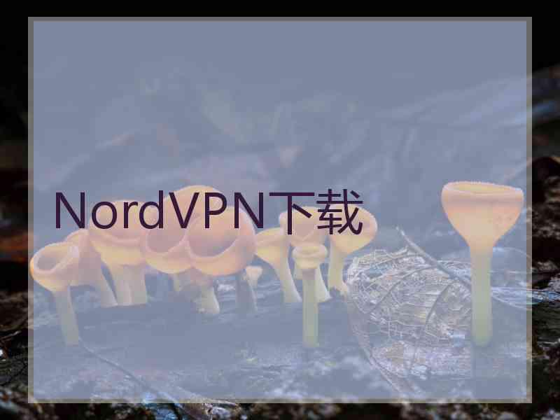 NordVPN下载