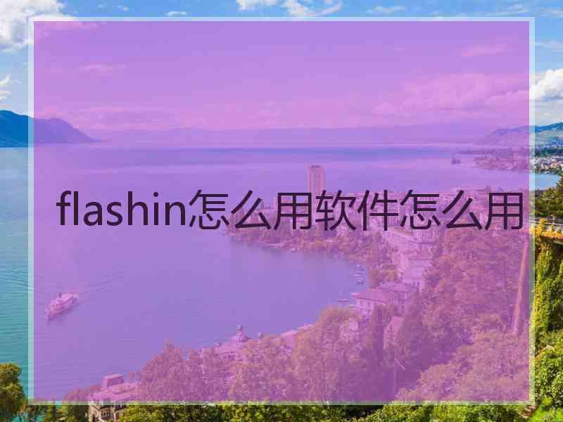 flashin怎么用软件怎么用