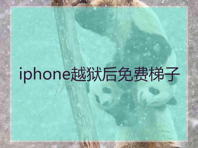 iphone越狱后免费梯子