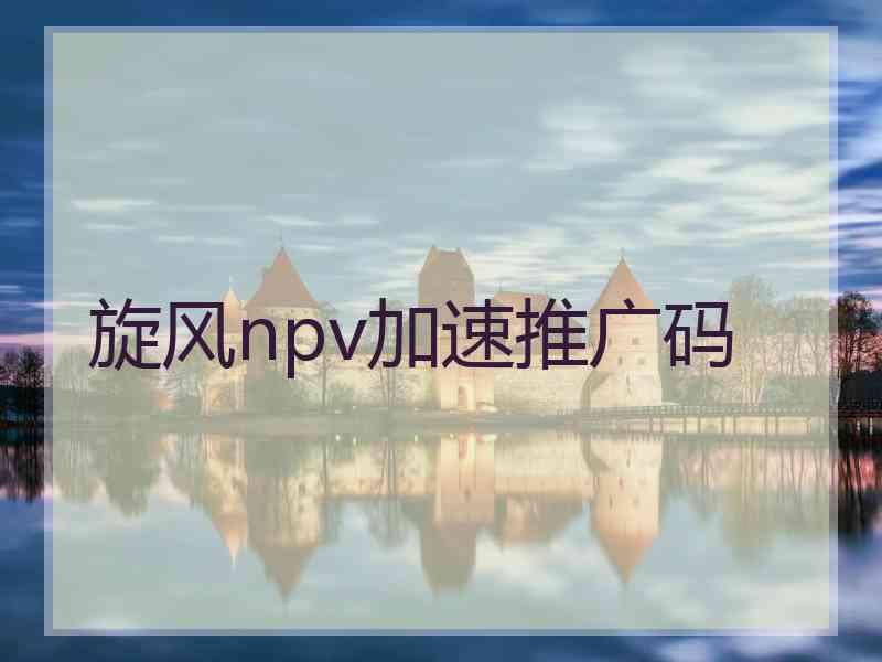 旋风npv加速推广码