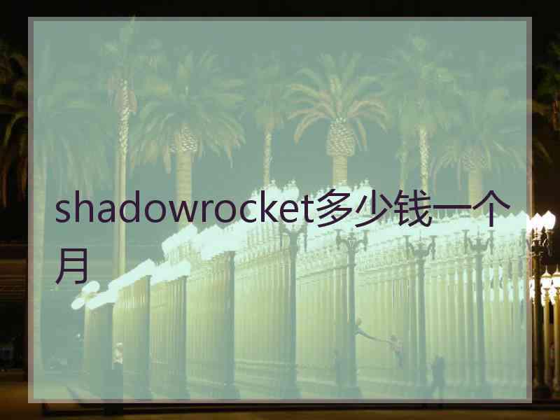 shadowrocket多少钱一个月