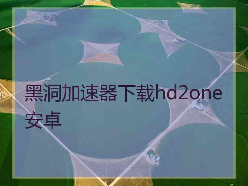 黑洞加速器下载hd2one安卓