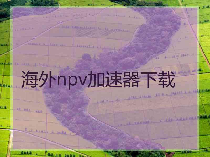 海外npv加速器下载