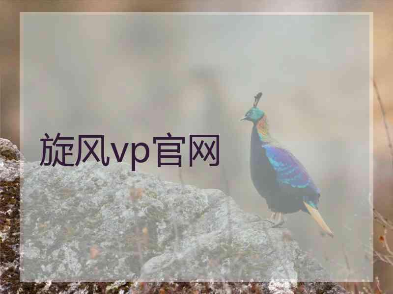 旋风vp官网