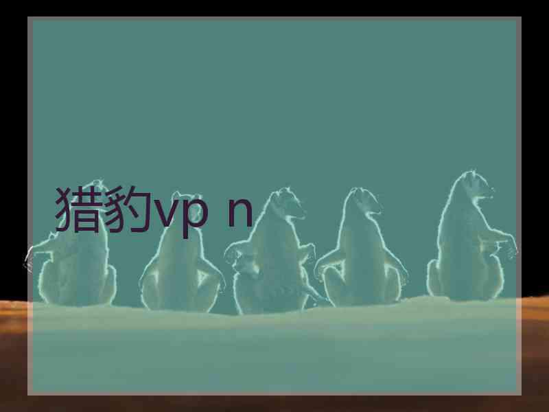 猎豹vp n