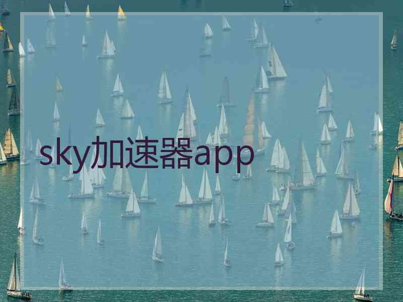 sky加速器app