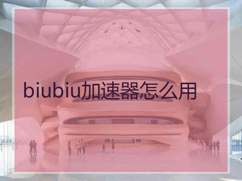 biubiu加速器怎么用