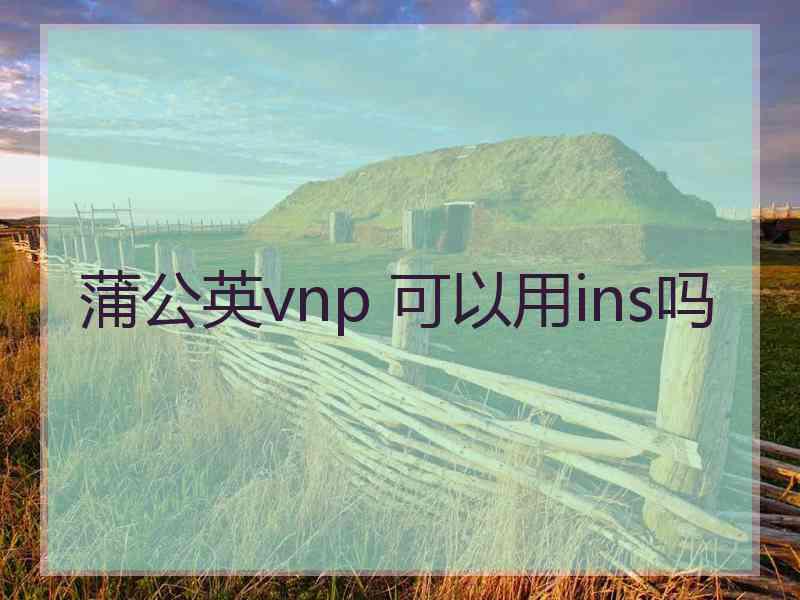 蒲公英vnp 可以用ins吗