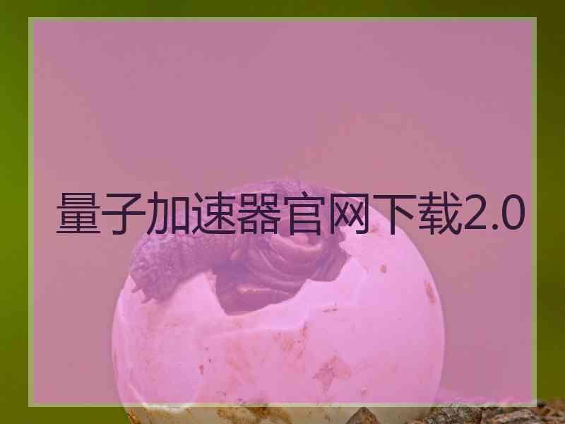 量子加速器官网下载2.0