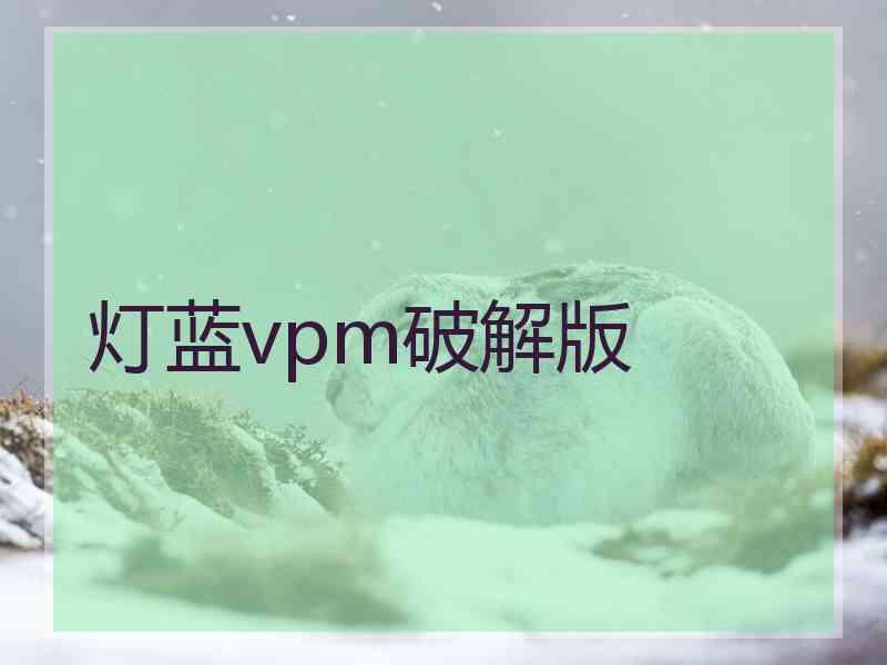 灯蓝vpm破解版