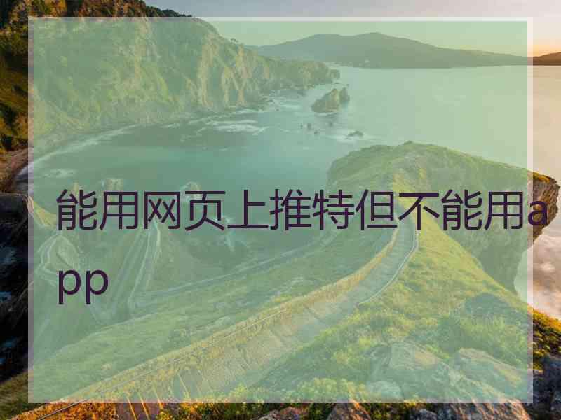 能用网页上推特但不能用app