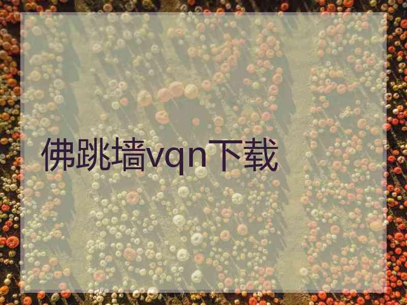 佛跳墙vqn下载