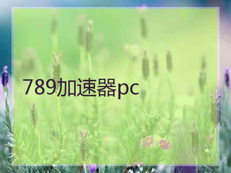 789加速器pc