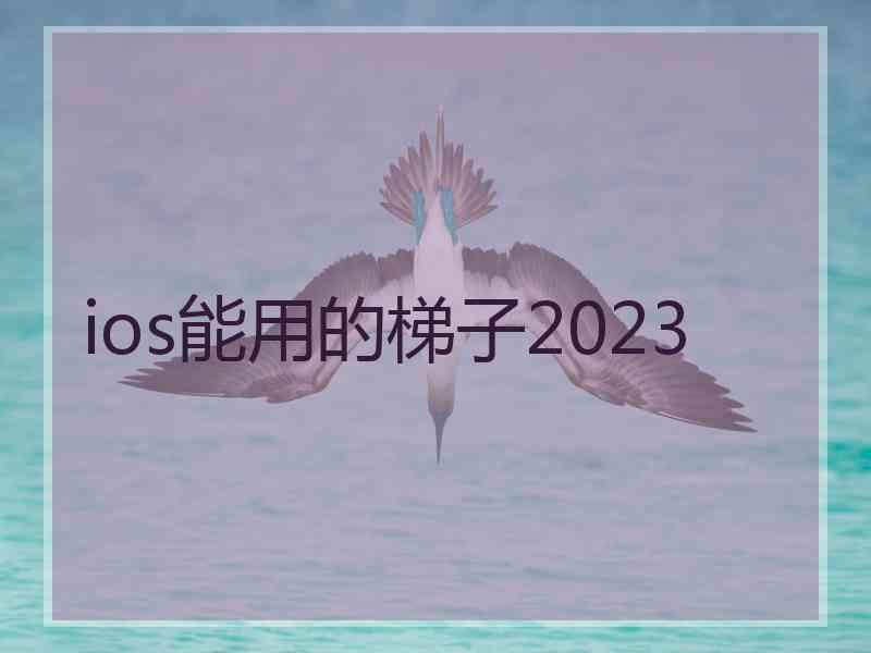 ios能用的梯子2023