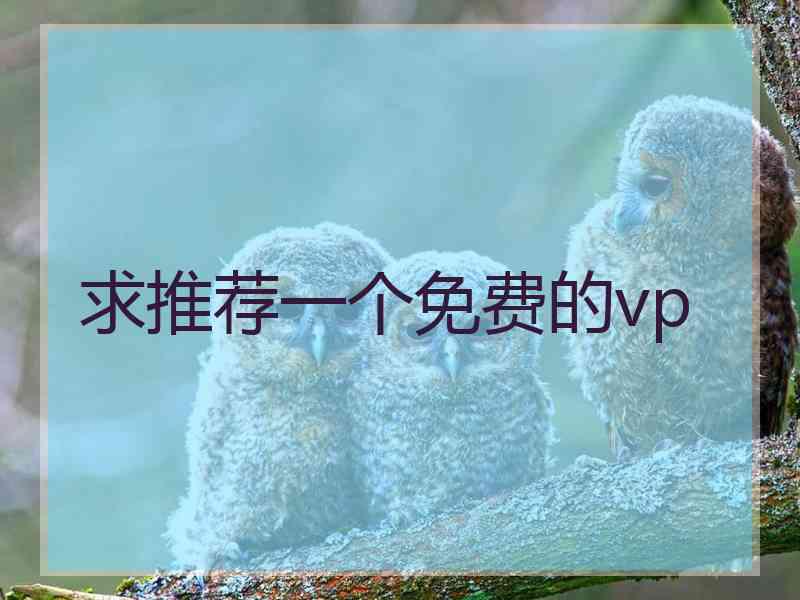 求推荐一个免费的vp