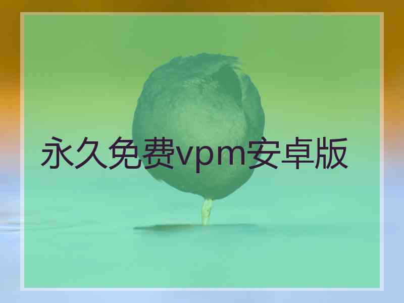 永久免费vpm安卓版