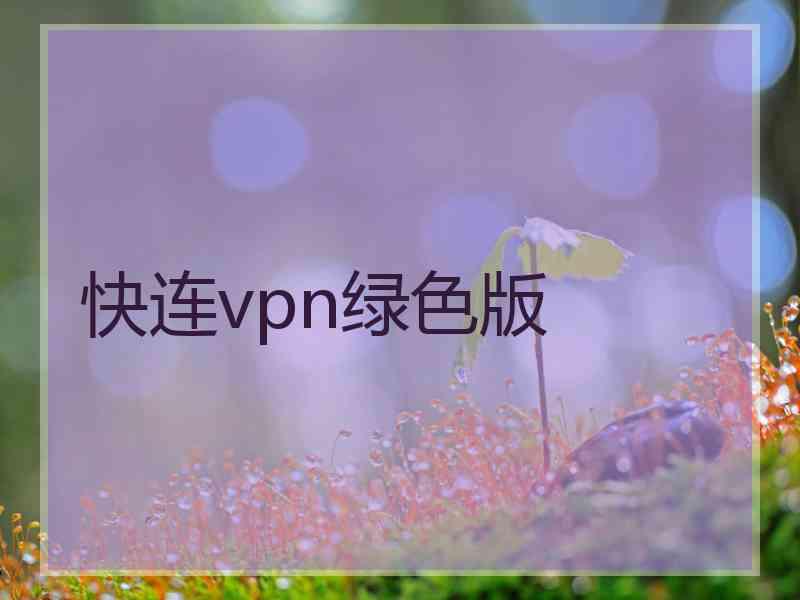 快连vpn绿色版