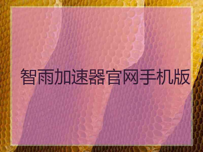 智雨加速器官网手机版