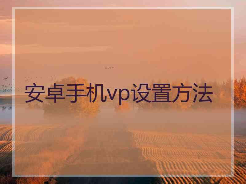 安卓手机vp设置方法