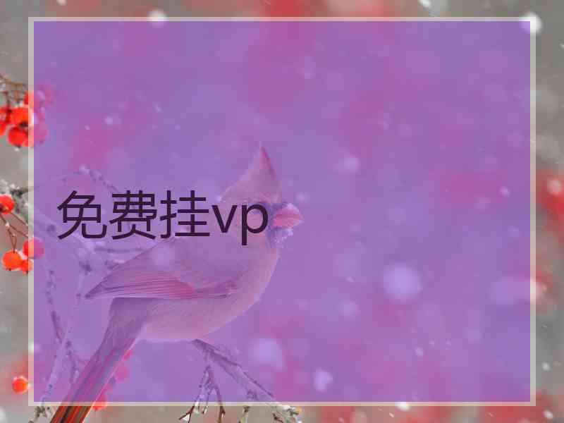 免费挂vp