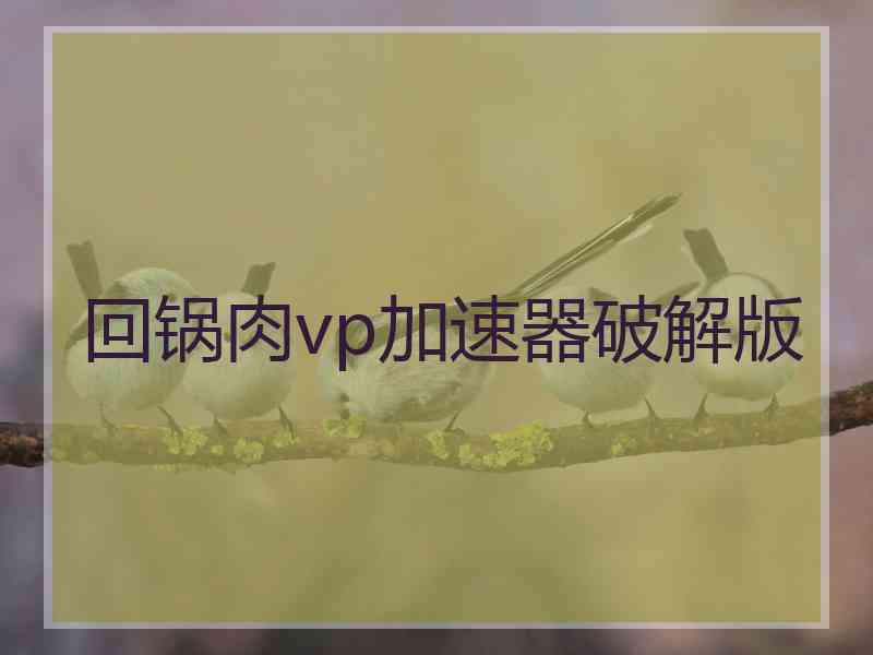 回锅肉vp加速器破解版