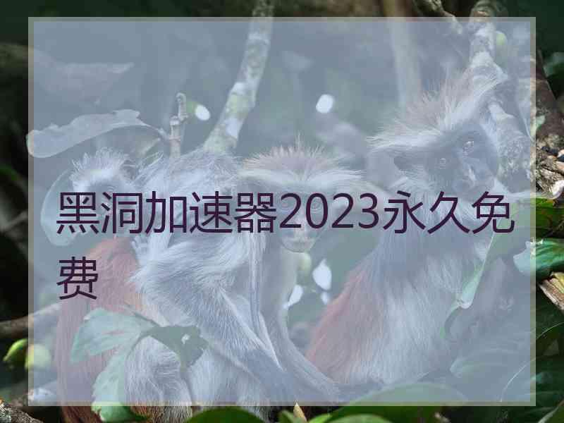 黑洞加速器2023永久免费